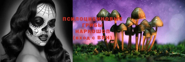 соль ск Елабуга