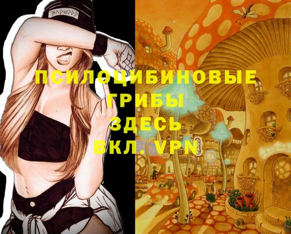 соль ск Елабуга