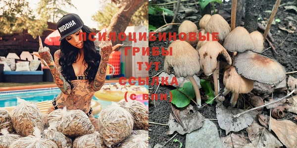 соль ск Елабуга