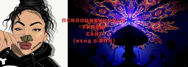 альфа пвп Елизово