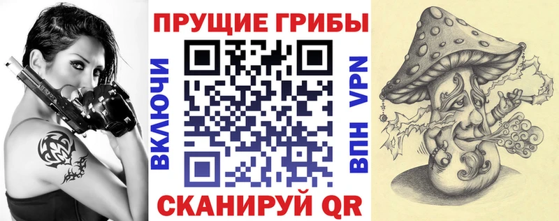 Псилоцибиновые грибы ЛСД Котовск